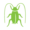 Cockroach Control
