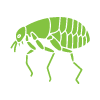 Flea Control