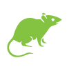 Rodent Control
