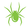 Spider Control